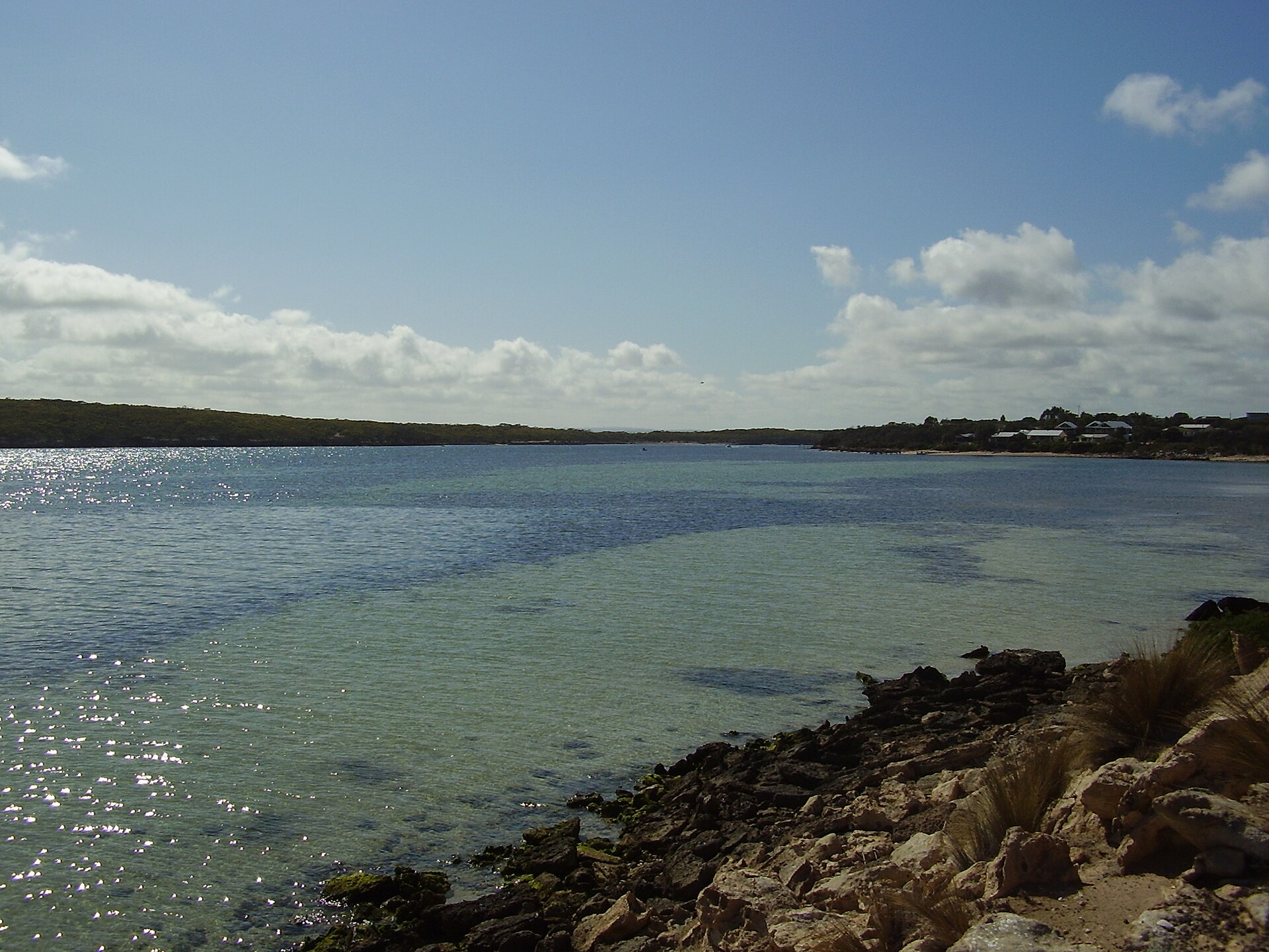 Coffin Bay Oysters