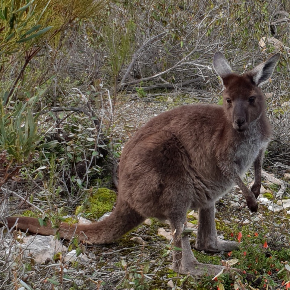 Coffin Bay National Park