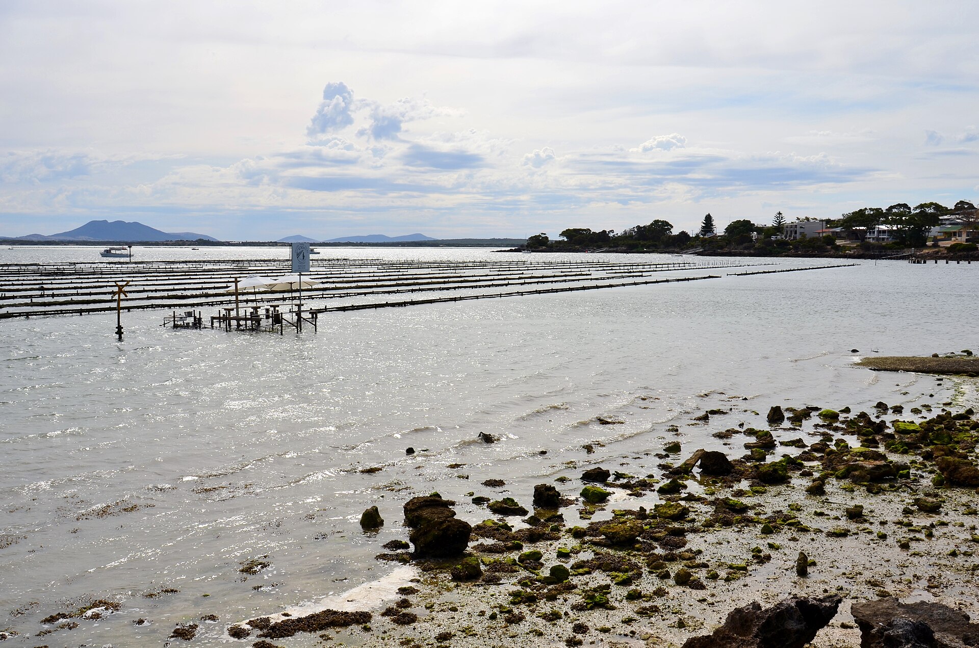 Coffin Bay Oyster Farm Tours