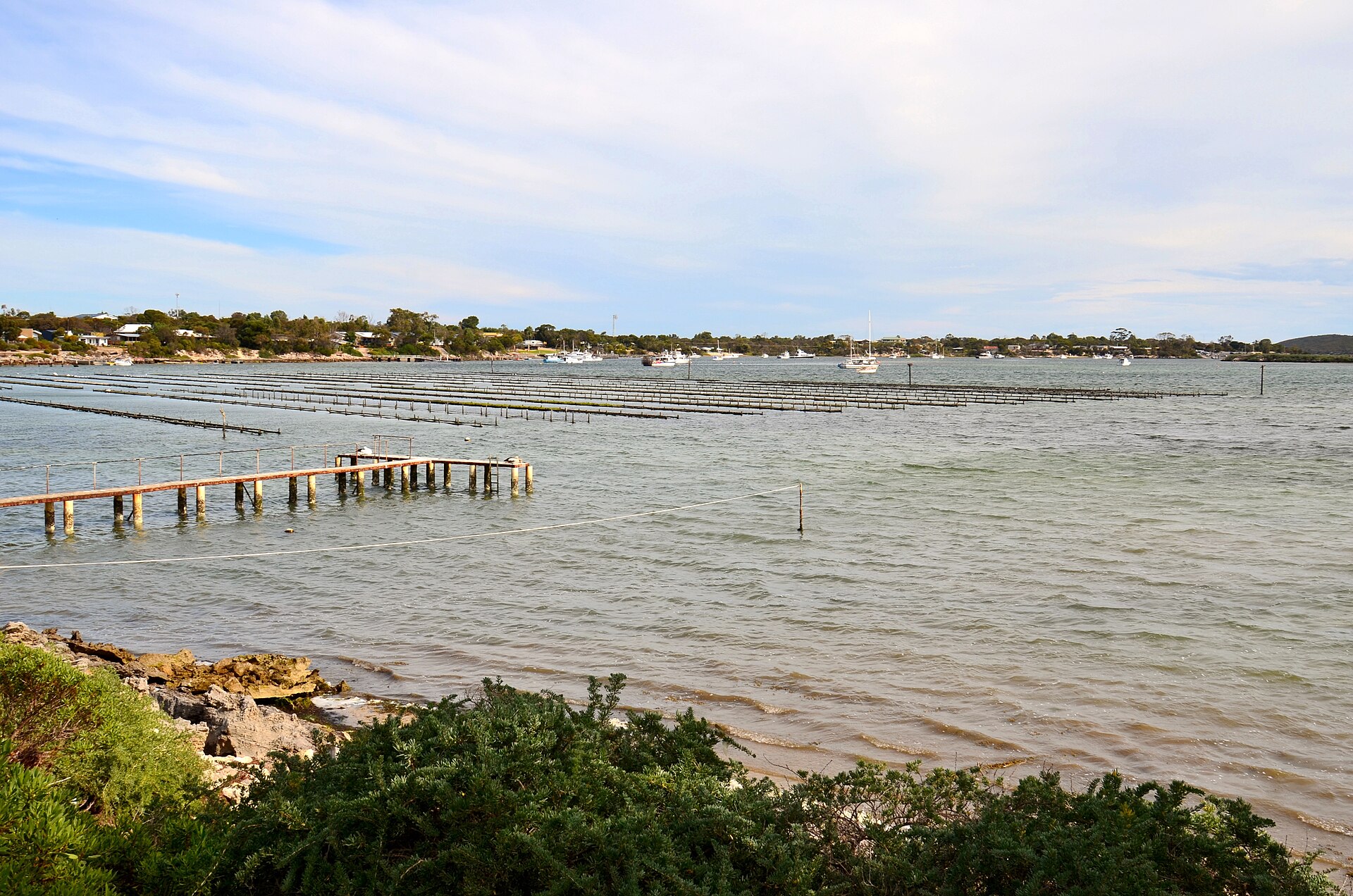Eating Oysters in Coffin Bay