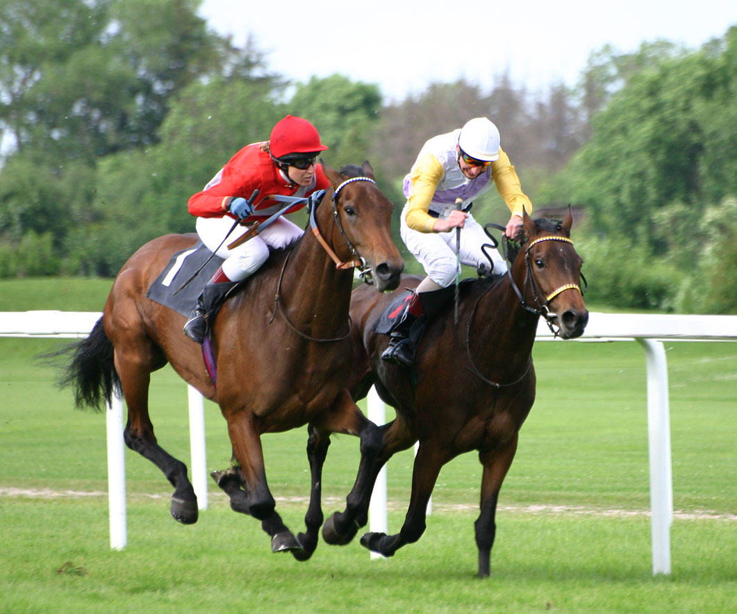 Galloping Greens & Port Lincoln Cup