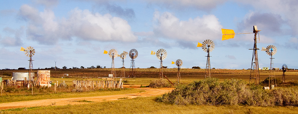The Windmills of Penong