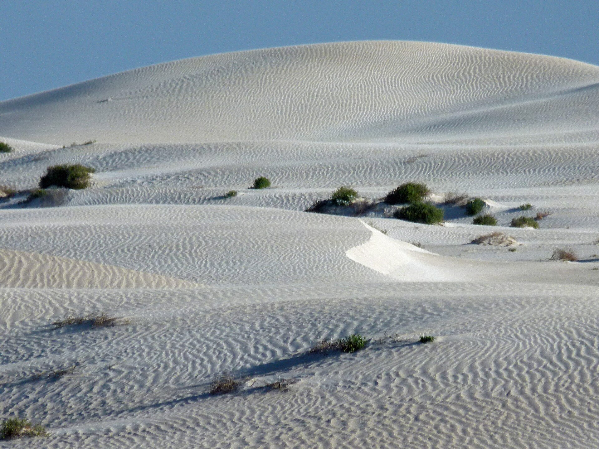 Fowlers Bay: The Town the Sand Almost Took