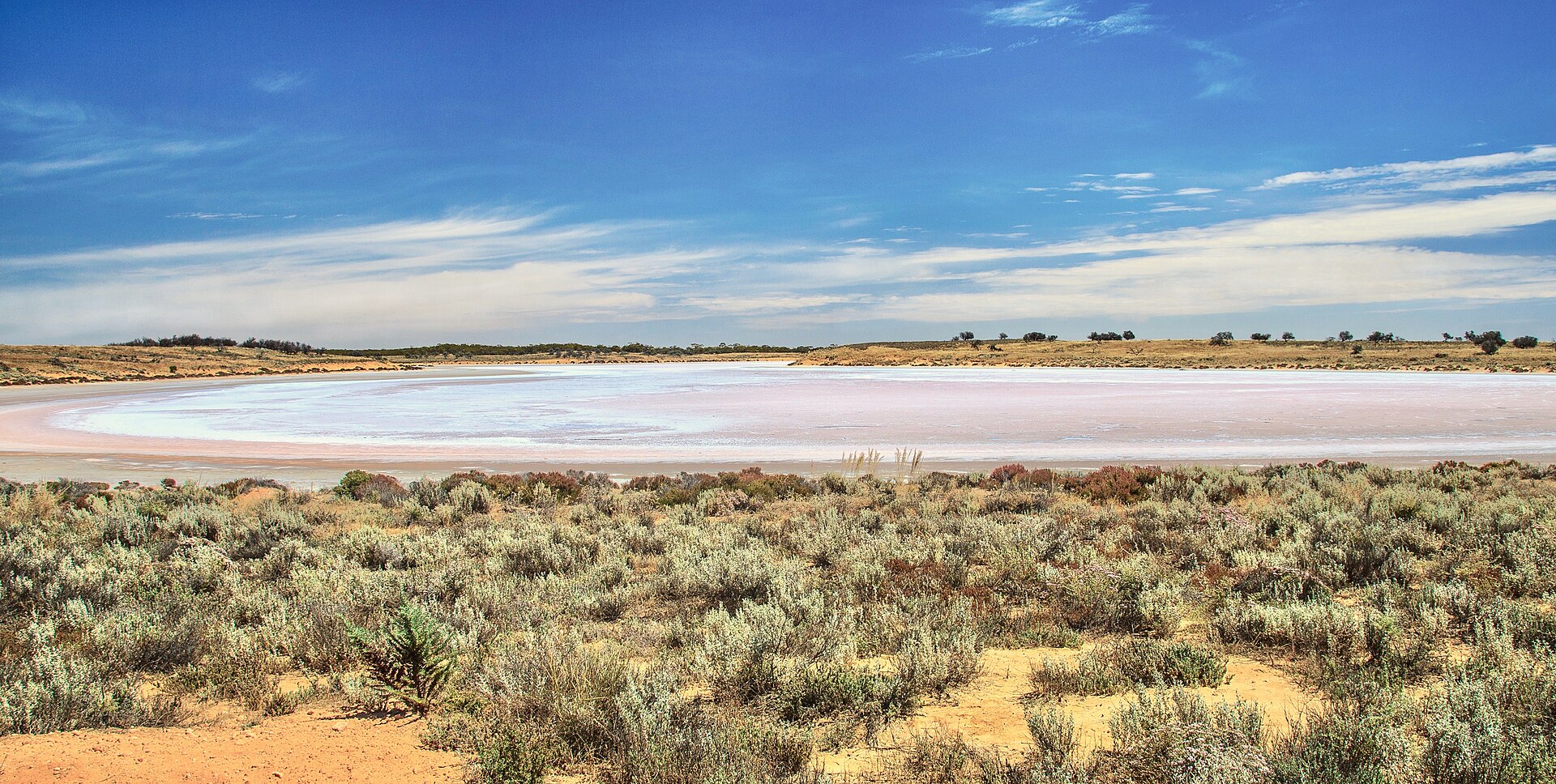 Salt and Speed: A Lake Gairdner Pilgrimage